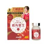 Return 日本 - 大學鹿角靈芝 60粒