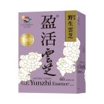 G.E. Yunzhi Essence 60's FYZ066