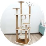 TC-Climber-35.jpg