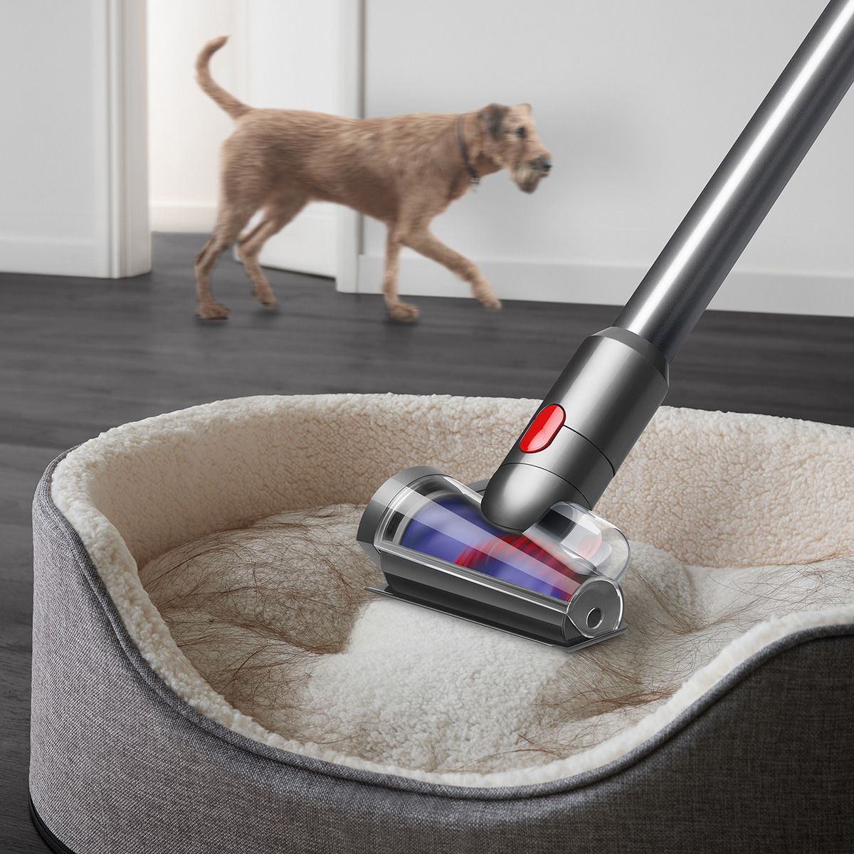 Dyson V12 Detect™ Slim Fluffy vacuum | The Club – Shopping