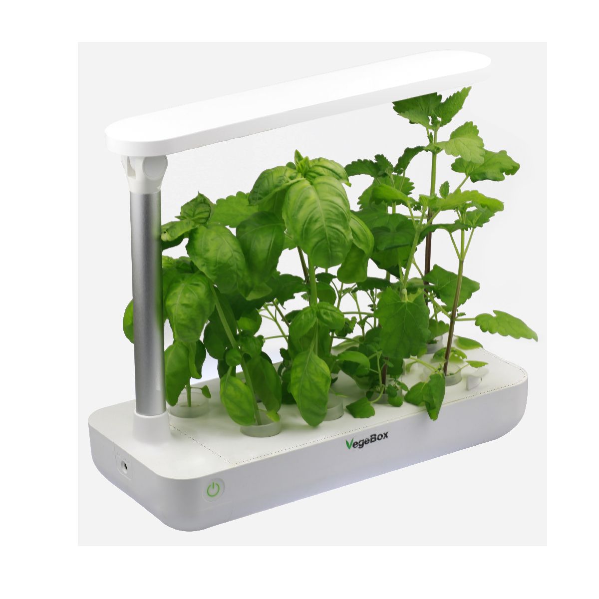 Vegebox T Box 室內水培種植箱