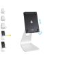 Rain Design - mStand TabletPro iPad 9.7 to 11 支架 mStand-tablet-pro-97 (金色 / 銀色 / 太空灰)