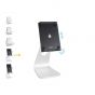 Rain Design - mStand Tablet Pro iPad Pro 12.9 支架 mStand-tp-129 (金色 / 銀色 / 太空灰)