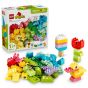 LEGO® DUPLO 10479 Colorful Creative Box (Kids Toys,Creative Games,Bricks,Gift)