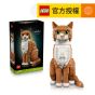 LEGO® Ideas 21376 Orange Cat (Home Decoration,Toys,Gifts,Bricks)