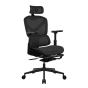Formaula v Line gaming chair Ergolux 5 Plus - MESH BLACK (FOR-GC-ERGOLUX5-PLUS-MESH-BLK) [免費送貨無安裝/預計送貨時間 10-14 工作日]
