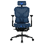 Formula v Line gaming chair Ergolux 5 Plus | 網狀藍色 (FOR-GC-ERGOLUX5-PLUS-MESH-BLUE) [免費送貨無安裝/預計送貨時間 10-14 工作日]