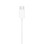 Apple EarPods 配備 USB-C 接頭