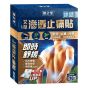 健之堂 - 艾草 滲透 止痛貼 (冰涼配方) 10片裝 CR-4893036421064