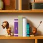 LEGO® Disney 43301 Toy Story Slinky Dog Bookends (Toy,Decoration,Bricks,Gift)