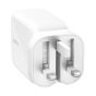 Belkin - UltraCharge UltraCharge GaN 67W 伸縮USB-C充電線牆式充電器 CR-BELKI_WCH022MYWH
