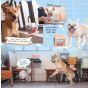 B' IN SELECT -Woof² | 港式奶茶二合一藏食寵物玩具 (電子換領券)