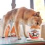 B' IN SELECT -Woof² | 港式奶茶二合一藏食寵物玩具 (電子換領券)
