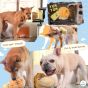 B' IN SELECT -Woof² | 菠蘿油二合一藏食寵物玩具 (電子換領券)