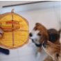 B' IN SELECT - Woof² | 雞蛋仔/格仔餅二合一藏食寵物毛絨玩具 (電子換領券)