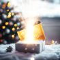 The Club Xmas Mystery Box - P