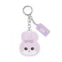 BLACKPINK - [BPPOPUP] CHARACTER LENTICULAR KEYRING [4個角色]