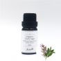 Aster Aroma 有機快樂鼠尾草香薰精油 (Salvia sclarea) - 10ml CL-020130010O