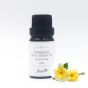 Aster Aroma - 有機荷荷巴油 10ml