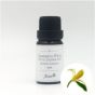 Aster Aroma - 有機荷荷巴油 10ml