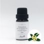 Aster Aroma - 有機荷荷巴油 10ml