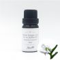Aster Aroma 3% 薑花原精香薰油(Hedychium coronarium) + 有機荷荷巴油(Simmondsia chinensis) - 10ml CL-020680010O