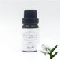 Aster Aroma - 有機荷荷巴油 10ml