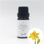 Aster Aroma 3% 水仙花原精香薰油(Narcissus) + 有機荷荷巴油(Simmondsia chinensis) - 10ml CL-030010030