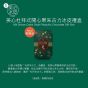 [電子換領券]美心杜拜式開心果朱古力冰皮禮盒