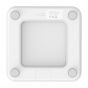 inno3C i-B8 IoT 智能體脂磅 (白色)