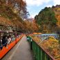 【日本門票 – 黑部峽谷鐵道】來回車票