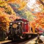 【日本門票 – 嵯峨野遊覽小火車】來回車票