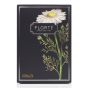 [電子換領券] Florté - 茶包系列