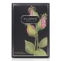 [電子換領券] Florté - 茶包系列