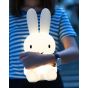 HOMELESS - Mr Maria Miffy First Light 30cm 小夜燈