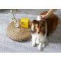 Scoop - Pet Massage Brush 寵物電動按摩器