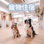DOGINN - 狗隻寄養服務 (第一晚) - 家庭房 DOGINNBoarding03