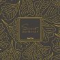 SmartGo DRYIT優質速乾毛巾 附防水袋 (L) (4種顏色)