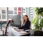 ERGOTRON WORKFIT-TS 辦公桌工作站 (33-447-921) + ERGOTRON LX 顯示器支架 (紅色) [預計送貨時間: 7-10工作天]
