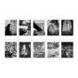 富士INSTAX MINI 即影即有菲林 10片裝 MONOCHROME