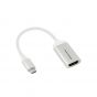 First Champion - USB 3.1 Type-C 至 HDMI 轉接線(支援MacBook, New iPad Pro) Silver TCA-C3G2HDMI
