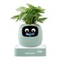 PLANTSIO - IVY Gen2 智能盆栽 [白色/綠色/黃色/粉紅色/紫色]
