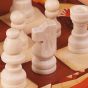TOI - 經典20合1 STEM益智親子遊戲棋