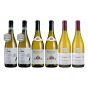 樂事會 Chardonnay 白酒6支 LDW-X0968713