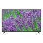 PRIMA 65" LE-65CVJF8 4K digital TV 高清數碼電視 65CVJF8 LE-65CVJF8