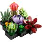 LEGO® - Icons 10309 多肉植物 (DIY,花藝,家居飾品,擺飾,玩具,禮物)