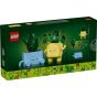 LEGO® - Botanicals 10349 快樂植物 (花藝,居家擺設,兒童玩具,兒童玩具)