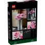 LEGO® - Botanicals 10374 粉紅玫瑰花束 (植栽花朵,居家擺設,花藝,玩具積木)