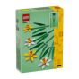 LEGO® - Flowers 40747 水仙 (花,居家飾品,花藝擺飾,模型,玩具)