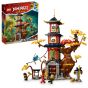 LEGO® - Ninjago® 71795 龍之神廟能量核心 (忍者玩具